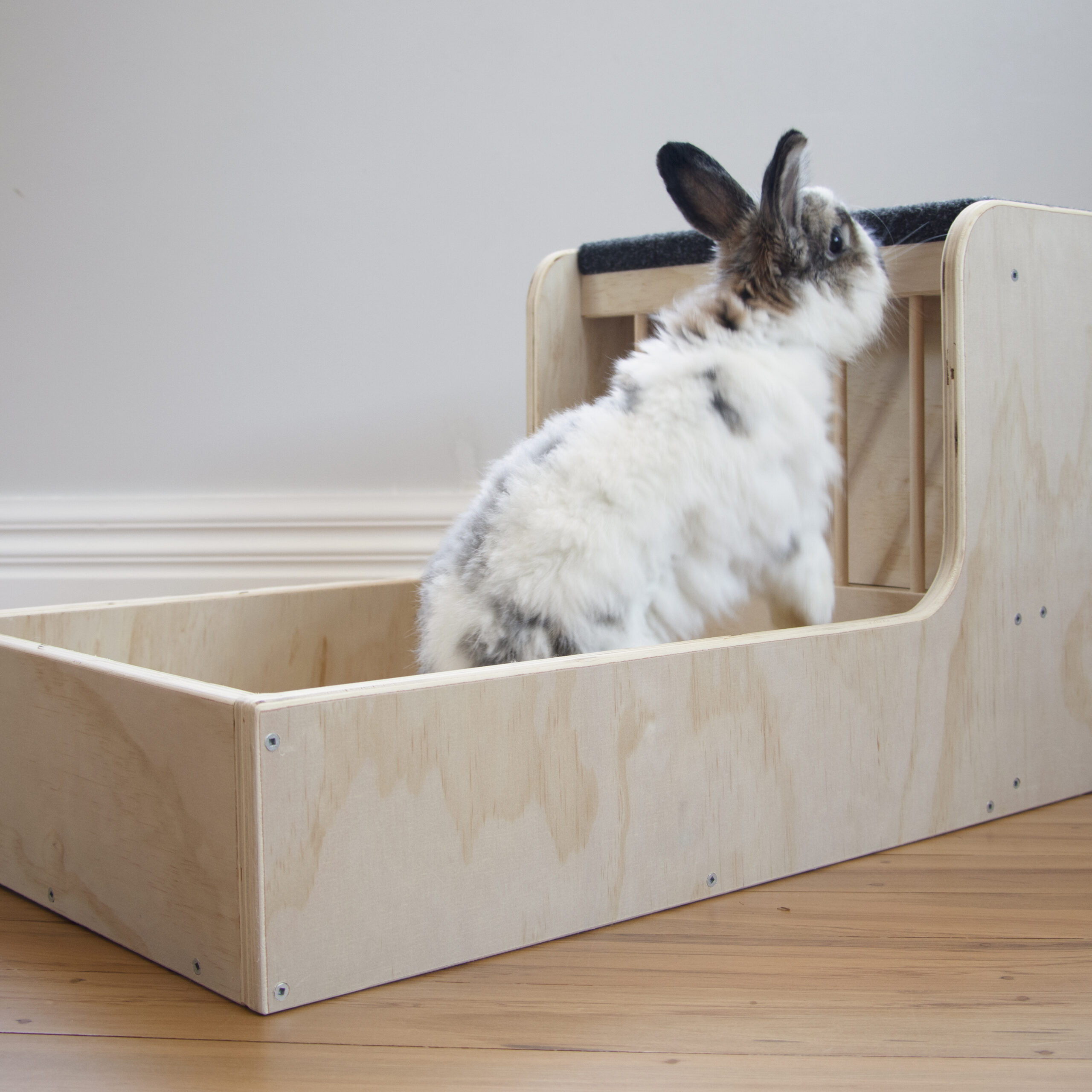 Hay feeder with rabbit